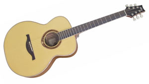 Акустическая гитара LAG<br>4 SEASONS SPRING<br>Модель GLA 4S100B