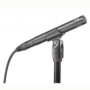 Audio-Technica AT2031<br>Студийный конденсаторный микрофон